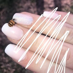 Meet your Posher, Lexi